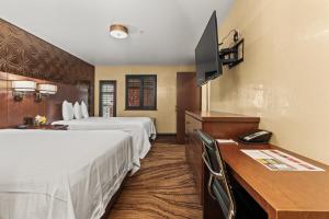 Queen Suite - Non-Smoking room in Ellis Island Hotel Casino & Brewery