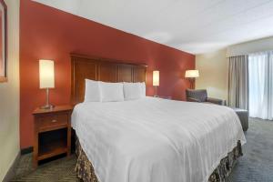 King Room with Bath Tub - Disability Access/Non-Smoking room in Best Western Plus St. Paul North/Shoreview