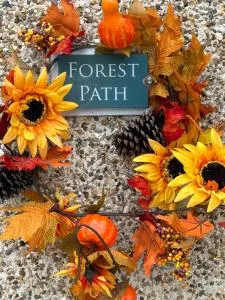 Forest Path luxury Studio Apartment with large bedroom bathroom and sauna Sleeps up to 4 - Drumaroad