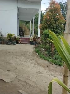 Lucky guest house