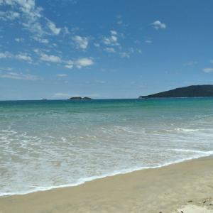 LINDO Apto beira mar praia Ingleses