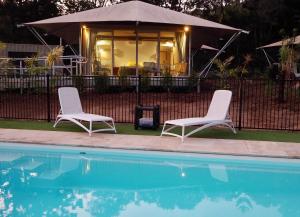 Queen Safari Tent 10