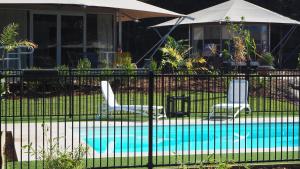 Queen Safari Tent 10