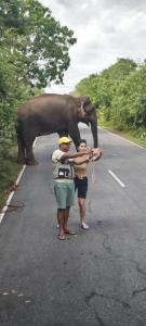 Moon Light Guest House