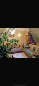 شقه فاخره بثلاث غرف دورين على البحر ذات منظر خلاب