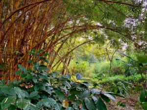 Cuppa Creek Homestay