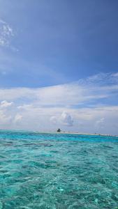 Palmrest Kaashidhoo Maldives