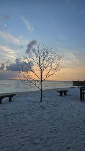 Palmrest Kaashidhoo Maldives