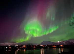 Polar Arctic View - Free Parking! - Tomasjorda