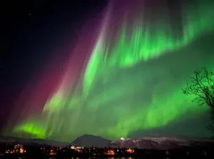 Polar Cozy Apartment - With View and Free parking - Tomasjorda