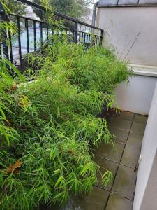 Logement entier - Chez Benjamin