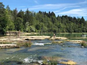 Hotels Les Rives de l'Ain : photos des chambres