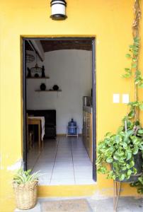 Yellow flat-estudio Oaxaca Centro