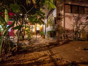 Yellow flat-estudio Oaxaca Centro