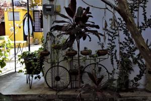 Yellow flat-estudio Oaxaca Centro