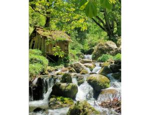 Into the Woods, Tulga, Kasol, HP "Natures Trail, 20 Minutes to Tranquility"