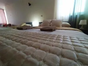 B&B Bebinac - Navalin