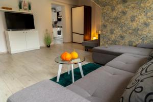 Apartamenty Zieleniec-Julia 3