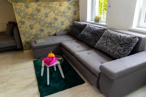 Apartamenty Zieleniec-Julia 3