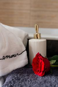 Appartements Suite Jean Jaures - Love Room : photos des chambres
