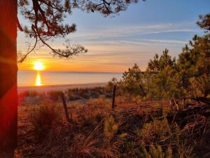 Maisons de vacances Au Pied de la Dune, acces prive a la plage : photos des chambres