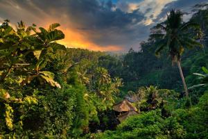Heaven View 2