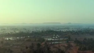 Tree of Life Ramvilas, Bandhavgarh - Rewa