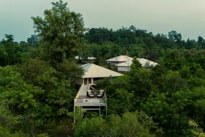 Tree of Life Ramvilas, Bandhavgarh