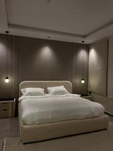 شقق فاخرة العقيق