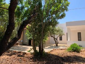 Villa de 3 dormitorios