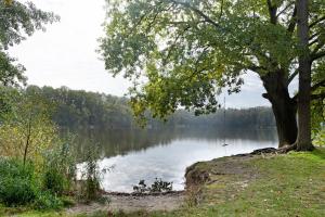 Ferienhäuser im Sternenpark am See