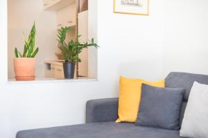 Zen Peaceful, Pangrati