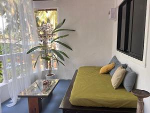 Janice Villa Arambol