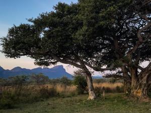 Honeyguide Ranger Camp