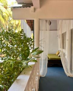 Janice Villa Arambol