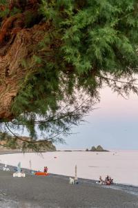 Beach Studio Sidonia