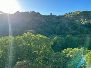 El Huerto de la Tia Anita