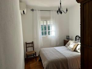 El Huerto de la Tia Anita