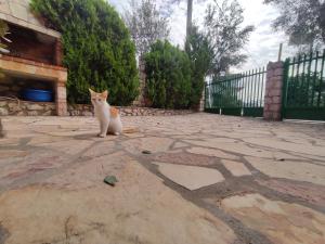 Vila Redstone Apartment ksamil