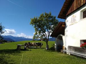Huberhof Abendsonne