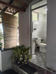 Dianas place
