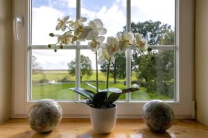 Ferienwohnung Schmidt Bergewöhrden