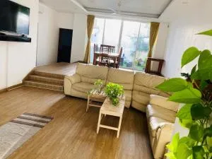 Green Bloom - 拉维尼亚山