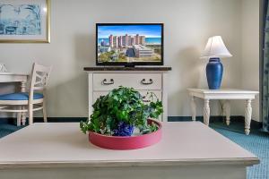 Bay Watch Resort | Oceanfront | King Suite | Budget Friendly