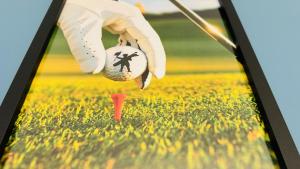 Maisons de vacances Cottage Les Pins Stella Plage : photos des chambres