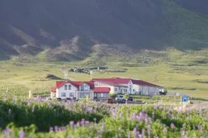 Lysuholl - Arnarstapi