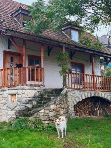 Tisnyi 7 Guest House