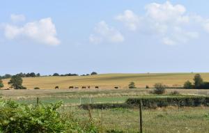 Gorgeous Home In Tomelilla With Wifi