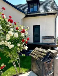 L’Escale - Fréland