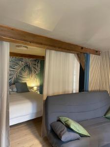Maisons de vacances Lilas, Dahlia, Palme Bleue : photos des chambres